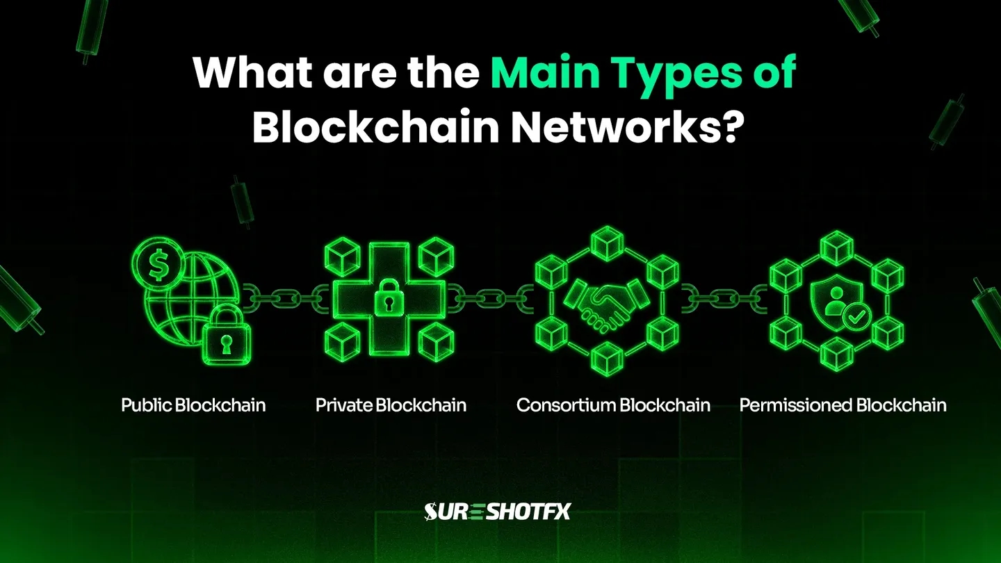 the Main Types of Blockchain Networks