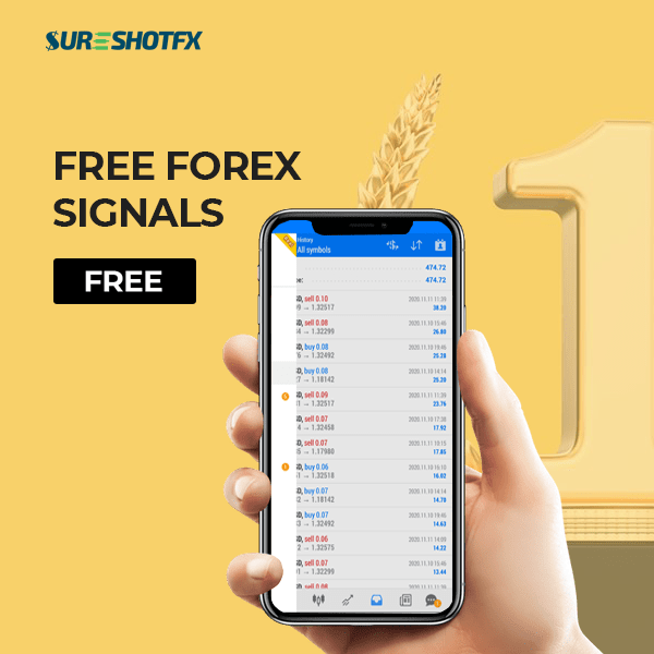Top 10 Tips to Become A Successful Forex Trader in 2022 – SureShotFX