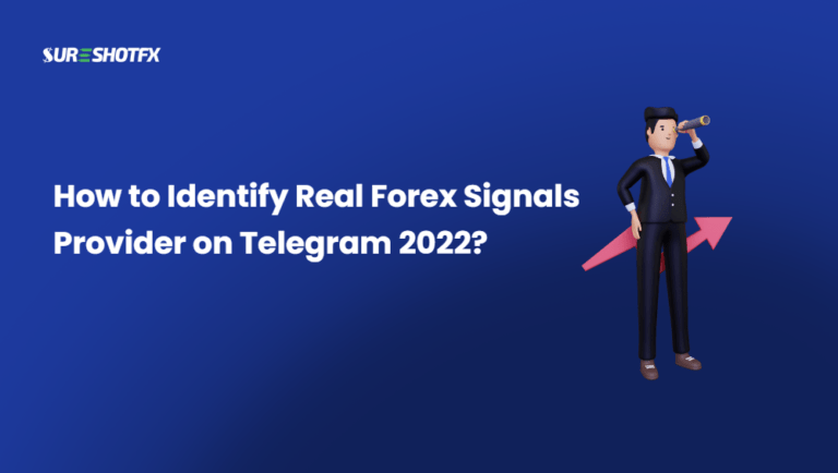 How to Identify Real Forex Signals Provider on Telegram 2022?