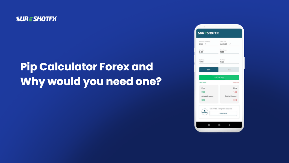 Pip Calculator Forex