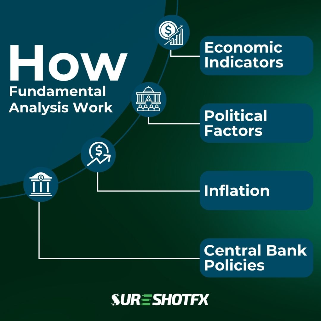 fundamental analysis forex