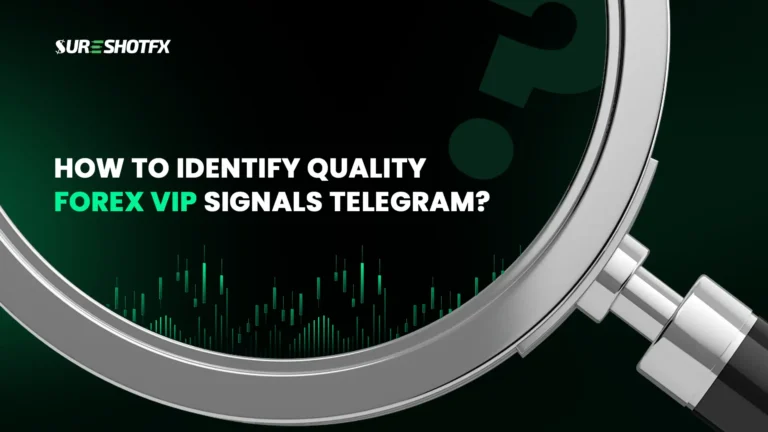 How to Identify Quality Forex VIP Signals Telegram Banner Image